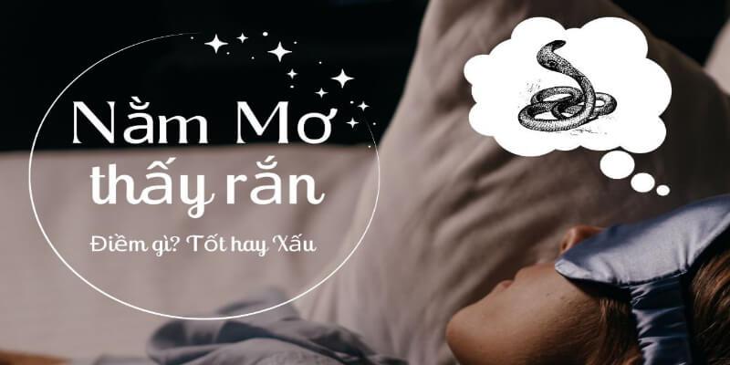 nằm mơ thấy rắn? giải đáp tại 88clb